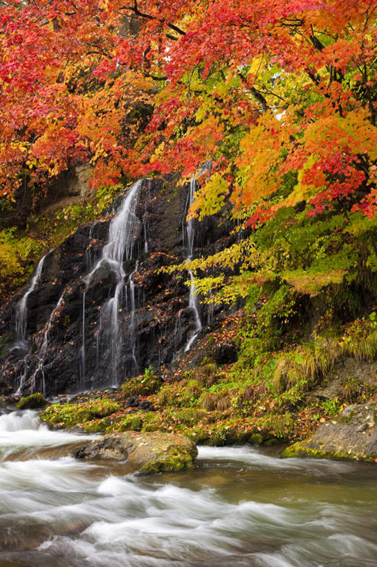 无人,竖图,室外,白天,正面,旅游,度假,草地,草坪,河流,礁石,石头,美景,水,植物,日本,亚洲,阴影,波纹,飞溅,溅,光线,石子,液体,影子,河水,景观,水滴,水流,娱乐,水珠,草,树,树木,绿色,水纹,小溪,阳光,自然,波浪,溪水,享受,休闲,景色,放松,生长,成长,喷洒,自然风光,东亚,本州,本州岛,日本国,青森,青森县,东北地方,礁,石块,岩石,彩图