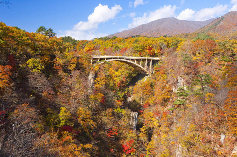 无人,横图,俯视,室外,白天,旅游,度假,草地,草坪,美景,山,山脉,植物,日本,亚洲,阴影,光线,木板,影子,景观,山峰,云,云朵,桥,木桥,山峦,云彩,娱乐,栈桥,草,树,树木,蓝色,绿色,白云,蓝天,天空,阳光,自然,群山,天,享受,休闲,景色,放松,生长,成长,人行桥,木板桥,自然风光,东亚,本州,本州岛,日本国,宫城,宫城县,东北地方,彩图,高角度拍摄