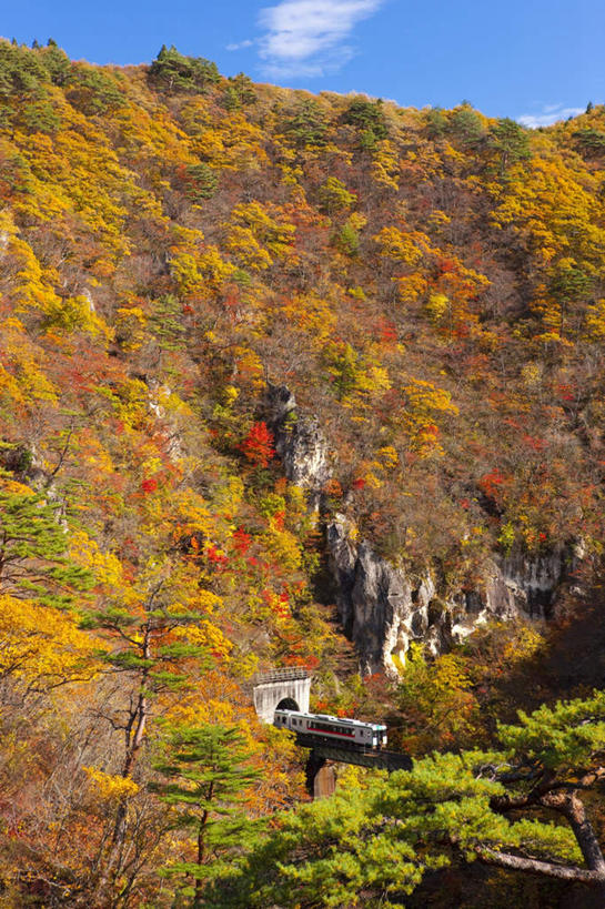 无人,竖图,俯视,室外,白天,旅游,度假,草地,草坪,石头,美景,山,山脉,植物,日本,亚洲,阴影,光线,木板,石子,影子,景观,山峰,云,云朵,桥,木桥,山峦,云彩,娱乐,栈桥,草,树,树木,蓝色,绿色,白云,蓝天,天空,阳光,自然,群山,天,享受,休闲,景色,放松,生长,成长,人行桥,木板桥,自然风光,东亚,本州,本州岛,日本国,宫城,宫城县,东北地方,石块,岩石,彩图,高角度拍摄