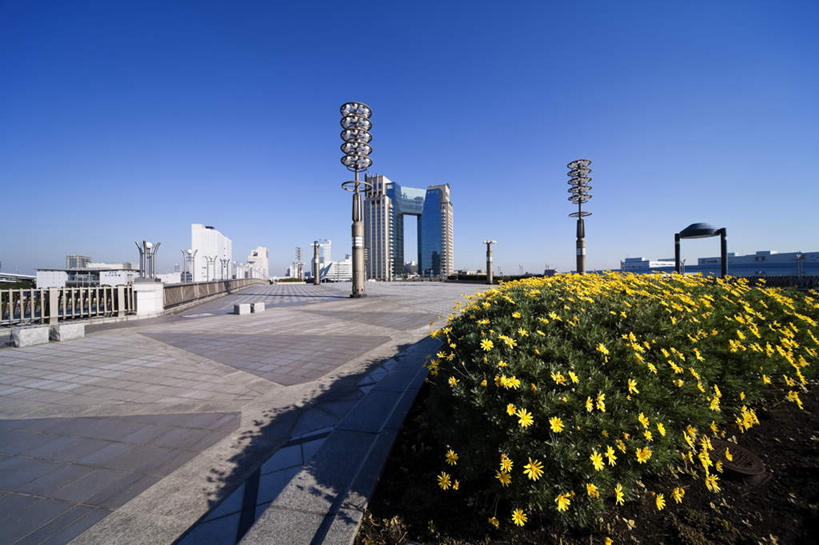 无人,高楼大厦,栏杆,横图,室外,白天,正面,度假,美景,城市风光,城市,大厦,道路,建筑,路,摩天大楼,东京,日本,亚洲,阴影,盛开,光线,影子,景观,围栏,小路,交通,花蕾,娱乐,护栏,花,花瓣,花朵,鲜花,黄色,蓝色,蓝天,天空,阳光,天,花苞,花蕊,享受,休闲,景色,放松,晴朗,东亚,本州,万里无云,关东地方,本州岛,日本国,东京都,晴空,晴空万里,彩图,大楼,高层建筑,高楼,摩天楼