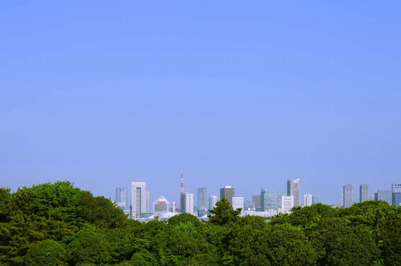 无人,高楼大厦,横图,室外,白天,正面,度假,草地,草坪,美景,植物,城市风光,城市,大厦,建筑,摩天大楼,东京,日本,亚洲,阴影,光线,影子,景观,娱乐,草,树,树木,蓝色,绿色,蓝天,天空,阳光,自然,天,享受,休闲,景色,放松,生长,晴朗,成长,东亚,本州,万里无云,关东地方,本州岛,日本国,东京都,晴空,晴空万里,彩图,大楼,高层建筑,高楼,摩天楼