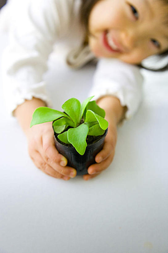 东方人,儿童,头发,一个人,笑,摸,微笑,露齿笑,竖图,俯视,室内,白天,纯洁,植物,叶子,亚洲,仅一个女性,仅一个人,抚摸,握,阴影,服装,光线,盆栽,影子,绿叶,盆景,拿,拿着,注视,休闲装,黄种人,一个,小孩,衣服,绿色,白色,黑色,阳光,自然,观察,看,趴着,仅一个小孩,休闲,休闲服,嫩叶,可爱,童年,童趣,握着,服饰,生长,单个,成长,观看,察看,关注,童真,烂漫,无邪,天真,女孩,女人,女性,亚洲人,孩子,长发,叶,叶片,触摸,接触,趴,抬头,仰头,半身,彩图,高角度拍摄,女生