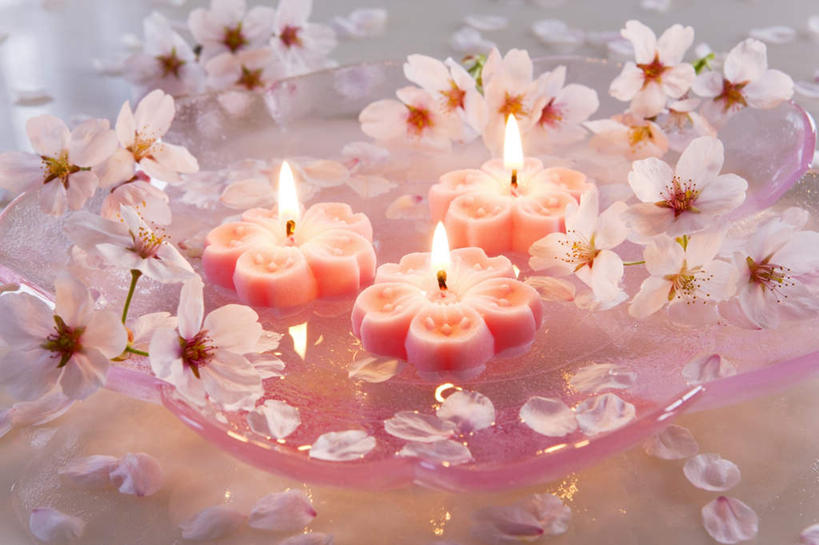 无人,横图,俯视,室内,特写,白天,水,樱花,静物,蜡烛,一排,许多,阴影,朦胧,模糊,整齐,环绕,盛开,围绕,反射,火焰,液体,影子,烛光,水滴,燃烧,花蕾,花,花瓣,花朵,鲜花,排列,三个,白色,花苞,花蕊,点燃,队列,仙樱花,福岛樱,青肤樱,荆桃,彩图,高角度拍摄