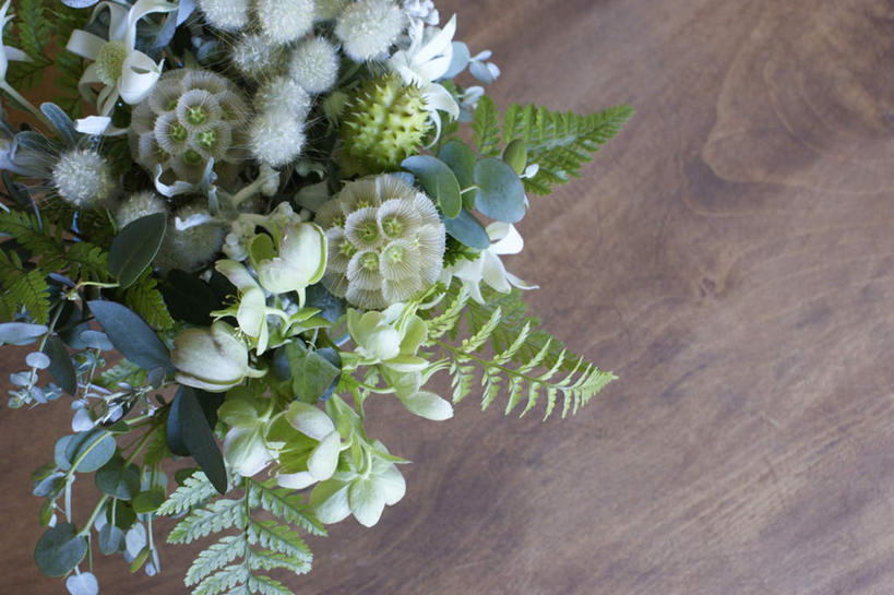 无人,横图,俯视,室内,特写,白天,智慧,植物,地板,静物,叶子,许多,艺术,盛开,盆栽,绿叶,盆景,地面,花蕾,文化,木地板,花,花瓣,花朵,鲜花,绿色,白色,自然,插花,花苞,花蕊,嫩叶,生长,成长,插花艺术,创造,创作,想象,菟葵,叶,叶片,彩图,高角度拍摄