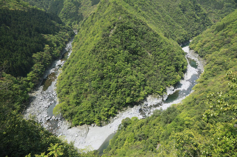 无人,横图,俯视,航拍,室外,白天,旅游,度假,草地,草坪,河流,美景,山,山脉,树林,水,植物,日本,亚洲,阴影,光线,影子,河水,景观,山峰,水流,山峦,娱乐,草,树,树木,绿色,阳光,自然,群山,享受,休闲,景色,放松,生长,成长,鸟瞰,自然风光,东亚,德岛县,日本国,四国地方,四国,四国岛,徳岛,祖谷,彩图,高角度拍摄