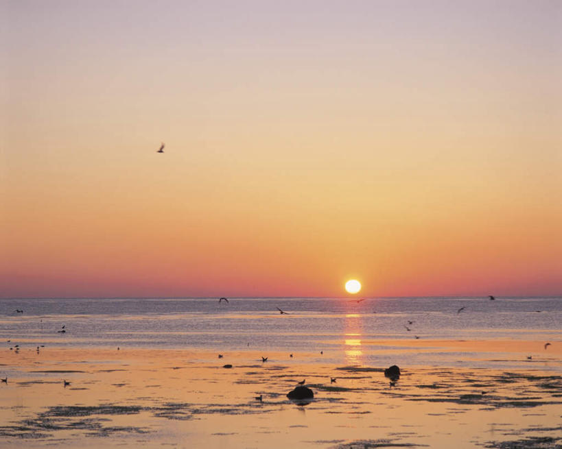 无人,横图,室外,白天,正面,旅游,度假,日出,海浪,海洋,美景,太阳,海鸟,鸟,北海道,日本,亚洲,许多,飞翔,飞行,鸟类,景观,浪花,水平线,辽阔,朝霞,晨曦,海平线,黎明,娱乐,蓝色,蓝天,天空,阳光,自然,海水,天,享受,休闲,广阔,景色,放松,晴朗,一望无际,自然风光,海景,东亚,万里无云,日本国,北海道地方,北海道岛,稚内,无边无际,一马平川,大海,风浪,海,海水的波动,近岸浪,涌浪,朝阳,晴空,晴空万里,彩图,破晓,水天相接,水天一线