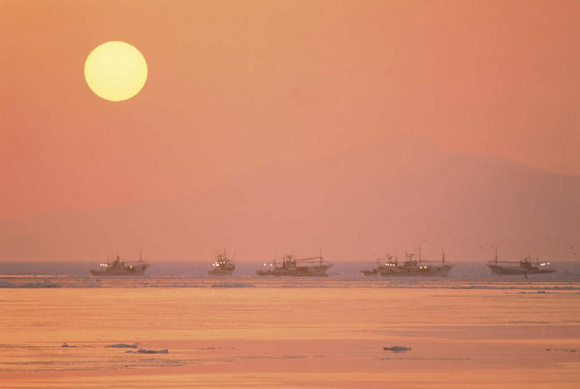 无人,横图,室外,白天,正面,旅游,度假,日出,海浪,海洋,美景,日落,太阳,船,北海道,日本,亚洲,一排,许多,整齐,景观,浪花,水平线,晚霞,霞光,辽阔,木船,朝霞,晨曦,海平线,黎明,娱乐,排列,蓝色,蓝天,天空,阳光,自然,海水,黄昏,交通工具,天,享受,休闲,广阔,景色,彩霞,放松,晴朗,一望无际,舟,队列,自然风光,载具,海景,东亚,万里无云,日本国,北海道地方,北海道岛,无边无际,一马平川,大海,风浪,海,海水的波动,近岸浪,涌浪,朝阳,晴空,晴空万里,夕阳,彩图,破晓,水天相接,水天一线