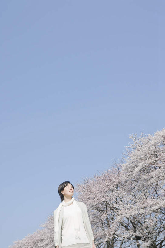一个人,站,笑,微笑,露齿笑,竖图,室外,白天,仰视,旅游,度假,美景,樱花,京都,日本,亚洲,仅一个年轻女性,仅一个女性,仅一个人,阴影,盛开,光线,影子,景观,花蕾,娱乐,花,花瓣,花朵,鲜花,粉色,蓝色,蓝天,天空,阳光,自然,天,花苞,花蕊,站着,享受,休闲,景色,放松,京都府,晴朗,自然风光,东亚,本州,万里无云,本州岛,日本国,近畿地方,近畿,仙樱花,福岛樱,青肤樱,年轻女性,女人,女性,晴空,晴空万里,荆桃,站立,半身,彩图,低角度拍摄