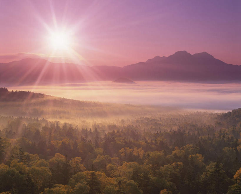 无人,横图,全景,室外,白天,正面,旅游,度假,日出,美景,森林,山,山脉,树林,太阳,天际线,植物,雾,日本,亚洲,朦胧,模糊,地平线,景观,山峰,辽阔,地面,朝霞,黎明,山峦,娱乐,树,树木,蓝色,绿色,蓝天,天空,阳光,自然,群山,天,享受,休闲,景色,放松,生长,晴朗,成长,一望无际,迷雾,自然风光,延伸,东亚,万里无云,日本国,天地相交,朝阳,大雾,晴空,晴空万里,彩图,破晓