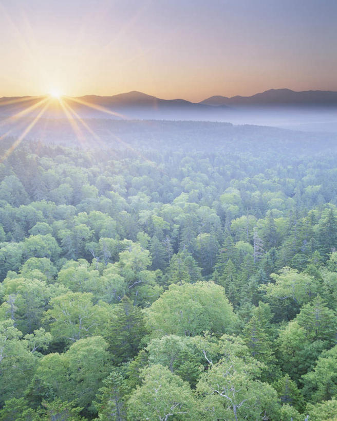 无人,竖图,俯视,航拍,室外,白天,旅游,度假,美景,森林,山,山脉,树林,植物,日本,亚洲,朦胧,模糊,景观,山峰,山峦,娱乐,树,树木,蓝色,绿色,蓝天,天空,自然,群山,天,享受,休闲,景色,放松,生长,晴朗,成长,鸟瞰,自然风光,东亚,万里无云,日本国,晴空,晴空万里,彩图,高角度拍摄