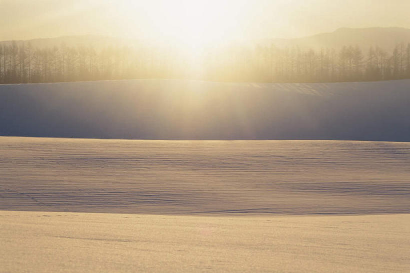 无人,横图,室外,白天,正面,旅游,度假,美景,树林,雪,植物,大雪,北海道,日本,亚洲,阴影,朦胧,模糊,光线,影子,积雪,景观,雪景,冬季,冬天,娱乐,树,树木,蓝色,绿色,蓝天,天空,阳光,自然,天,享受,休闲,景色,放松,寒冷,生长,晴朗,成长,自然风光,东亚,万里无云,日本国,北海道地方,北海道岛,严寒,晴空,晴空万里,彩图