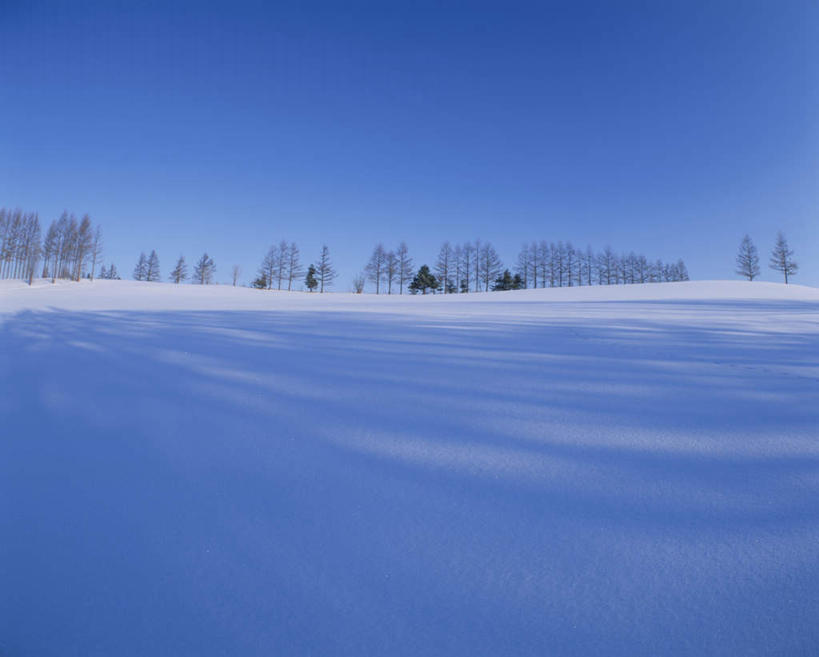 无人,横图,全景,室外,白天,正面,旅游,度假,美景,树林,天际线,雪,植物,大雪,北海道,日本,亚洲,朦胧,模糊,地平线,积雪,景观,雪景,冬季,冬天,辽阔,地面,娱乐,树,树木,蓝色,绿色,蓝天,天空,自然,天,享受,休闲,景色,放松,寒冷,生长,晴朗,成长,一望无际,自然风光,延伸,东亚,万里无云,日本国,天地相交,北海道地方,北海道岛,严寒,晴空,晴空万里,彩图