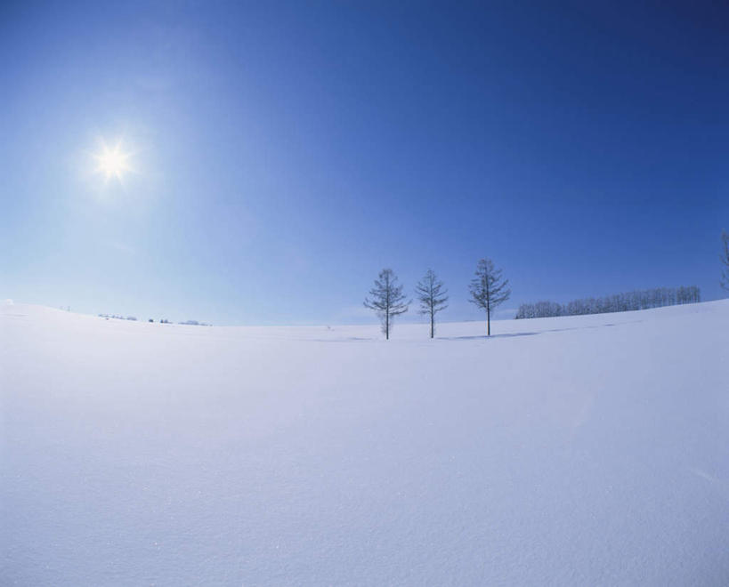 无人,横图,全景,室外,白天,正面,旅游,度假,美景,树林,天际线,雪,植物,大雪,北海道,日本,亚洲,朦胧,模糊,地平线,积雪,景观,雪景,冬季,冬天,辽阔,地面,娱乐,树,树木,蓝色,绿色,蓝天,天空,自然,天,享受,休闲,景色,放松,寒冷,生长,晴朗,成长,一望无际,自然风光,延伸,东亚,万里无云,日本国,天地相交,北海道地方,北海道岛,严寒,晴空,晴空万里,彩图