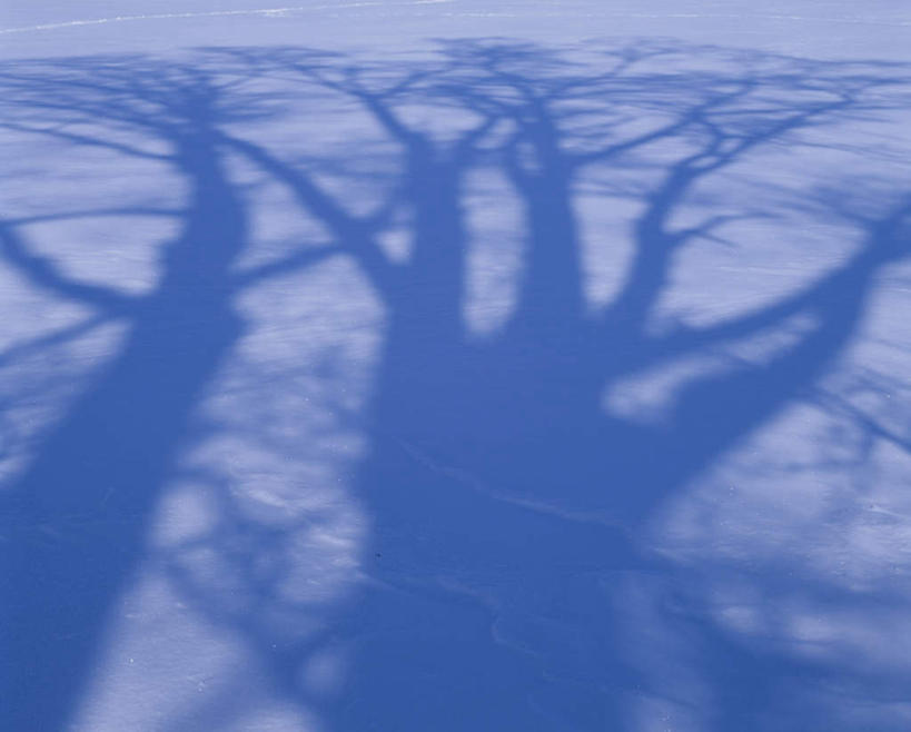 无人,横图,俯视,室外,白天,旅游,度假,美景,雪,大雪,北海道,日本,亚洲,阴影,朦胧,模糊,光线,影子,积雪,景观,雪景,冬季,冬天,娱乐,阳光,自然,享受,休闲,景色,放松,寒冷,自然风光,东亚,日本国,北海道地方,北海道岛,严寒,彩图,高角度拍摄
