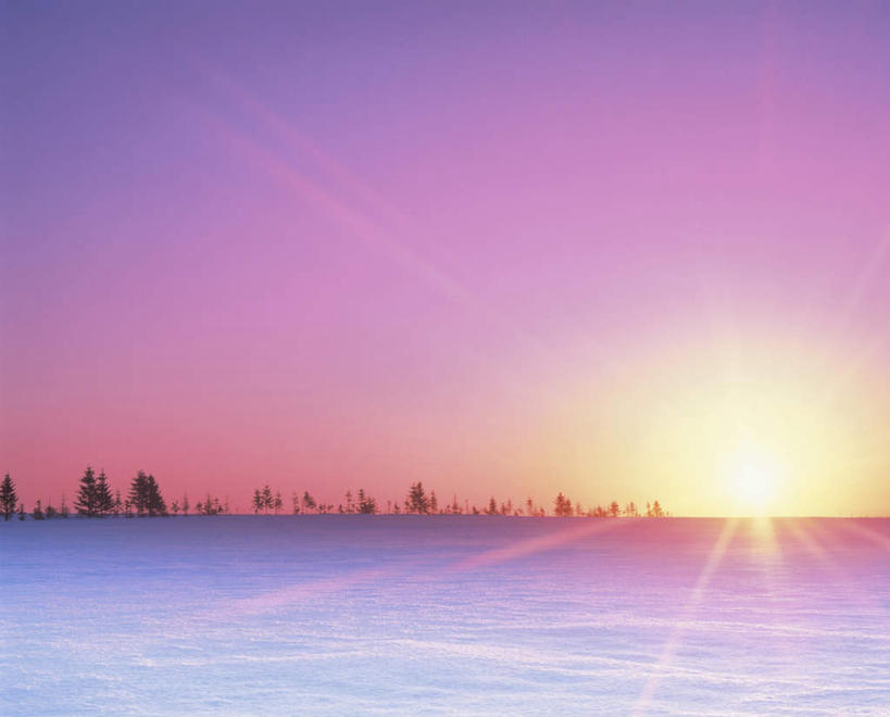 无人,横图,全景,室外,白天,正面,旅游,度假,日出,美景,树林,太阳,天际线,雪,植物,大雪,北海道,日本,亚洲,朦胧,模糊,地平线,积雪,景观,雪景,冬季,冬天,辽阔,地面,朝霞,晨曦,黎明,娱乐,树,树木,蓝色,绿色,蓝天,天空,阳光,自然,天,享受,休闲,景色,放松,寒冷,生长,晴朗,成长,一望无际,自然风光,延伸,东亚,万里无云,日本国,天地相交,北海道地方,北海道岛,严寒,朝阳,晴空,晴空万里,彩图,破晓