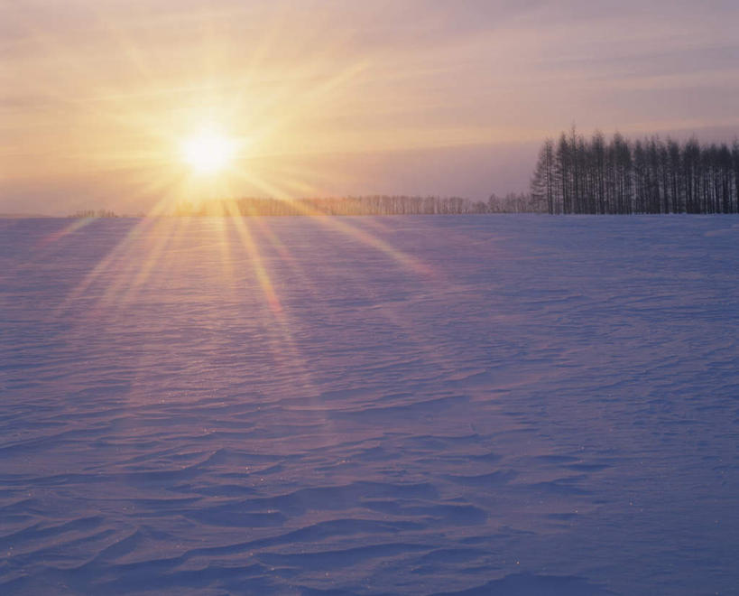 无人,横图,全景,室外,白天,正面,旅游,度假,日出,美景,树林,太阳,天际线,雪,植物,大雪,北海道,日本,亚洲,朦胧,模糊,地平线,积雪,景观,雪景,云,云朵,冬季,冬天,辽阔,地面,朝霞,晨曦,黎明,云彩,娱乐,树,树木,蓝色,绿色,白云,蓝天,天空,阳光,自然,天,享受,休闲,景色,放松,寒冷,生长,晴朗,成长,一望无际,自然风光,延伸,东亚,日本国,天地相交,北海道地方,北海道岛,严寒,朝阳,晴空,彩图,破晓