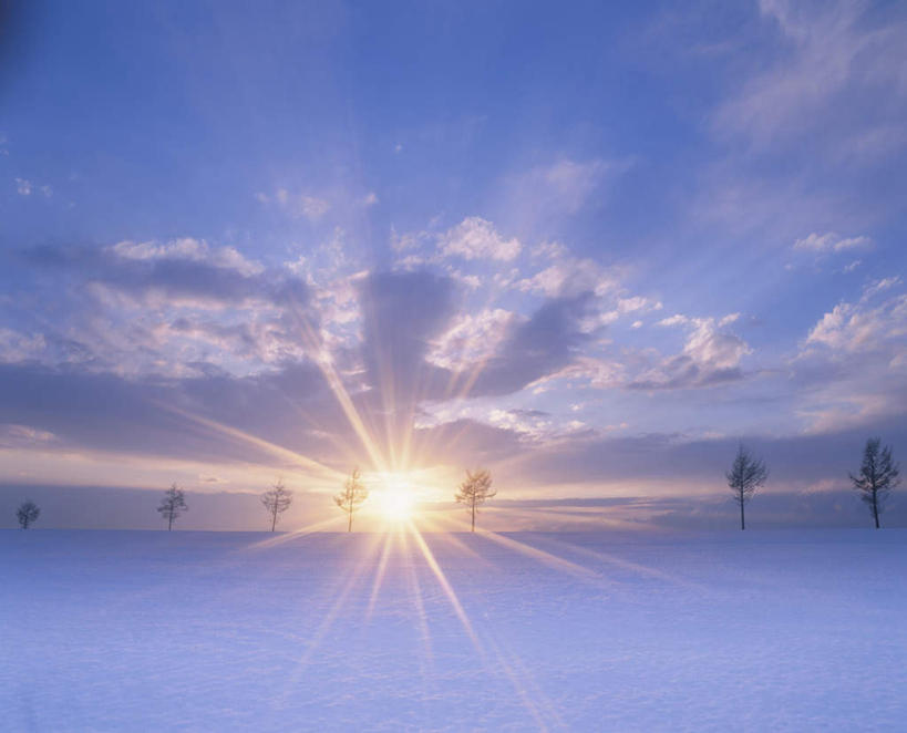 无人,横图,全景,室外,白天,正面,旅游,度假,日出,美景,树林,太阳,天际线,雪,植物,大雪,北海道,日本,亚洲,阴影,朦胧,模糊,光线,影子,地平线,积雪,景观,雪景,云,云朵,冬季,冬天,辽阔,地面,朝霞,晨曦,黎明,云彩,娱乐,树,树木,蓝色,绿色,白云,蓝天,天空,阳光,自然,天,享受,休闲,景色,放松,寒冷,生长,晴朗,成长,一望无际,自然风光,延伸,东亚,日本国,天地相交,北海道地方,北海道岛,严寒,朝阳,晴空,彩图,破晓