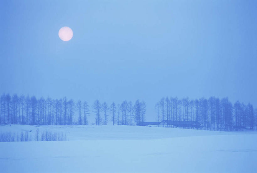 无人,横图,全景,室外,夜晚,正面,旅游,度假,美景,树林,天际线,雪,植物,大雪,北海道,日本,亚洲,朦胧,模糊,地平线,积雪,景观,雪景,月亮,冬季,冬天,辽阔,地面,月光,娱乐,树,树木,蓝色,绿色,蓝天,天空,自然,天,享受,休闲,景色,放松,寒冷,生长,晴朗,成长,一望无际,明亮,自然风光,延伸,东亚,万里无云,日本国,天地相交,北海道地方,北海道岛,严寒,皎洁,晴空,晴空万里,彩图,一轮