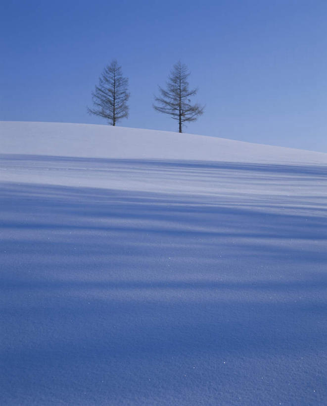 无人,竖图,全景,室外,白天,正面,旅游,度假,美景,树林,天际线,雪,植物,大雪,北海道,日本,亚洲,阴影,朦胧,模糊,光线,影子,地平线,积雪,景观,雪景,冬季,冬天,辽阔,地面,娱乐,树,树木,蓝色,绿色,蓝天,天空,阳光,自然,天,享受,休闲,景色,放松,寒冷,生长,晴朗,成长,一望无际,自然风光,延伸,东亚,万里无云,日本国,天地相交,北海道地方,北海道岛,严寒,晴空,晴空万里,彩图