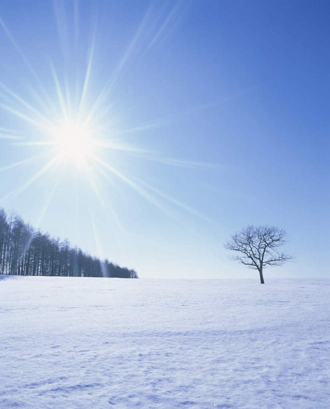 无人,竖图,全景,室外,白天,正面,旅游,度假,日出,美景,树林,太阳,天际线,雪,植物,大雪,北海道,日本,亚洲,阴影,朦胧,模糊,光线,影子,地平线,积雪,景观,雪景,冬季,冬天,辽阔,地面,朝霞,晨曦,黎明,娱乐,树,树木,蓝色,绿色,蓝天,天空,阳光,自然,天,享受,休闲,景色,放松,寒冷,生长,晴朗,成长,一望无际,自然风光,延伸,东亚,万里无云,日本国,天地相交,北海道地方,北海道岛,严寒,朝阳,晴空,晴空万里,彩图,破晓