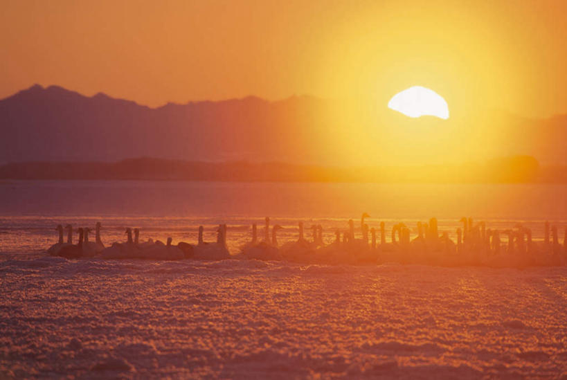 无人,横图,室外,白天,正面,旅游,度假,日出,山,山脉,太阳,雪,大雪,北海道,日本,亚洲,朦胧,模糊,积雪,山峰,雪景,冬季,冬天,朝霞,晨曦,黎明,山峦,娱乐,蓝色,蓝天,天空,阳光,群山,天,享受,休闲,放松,寒冷,晴朗,东亚,万里无云,日本国,北海道地方,北海道岛,严寒,朝阳,晴空,晴空万里,彩图,破晓