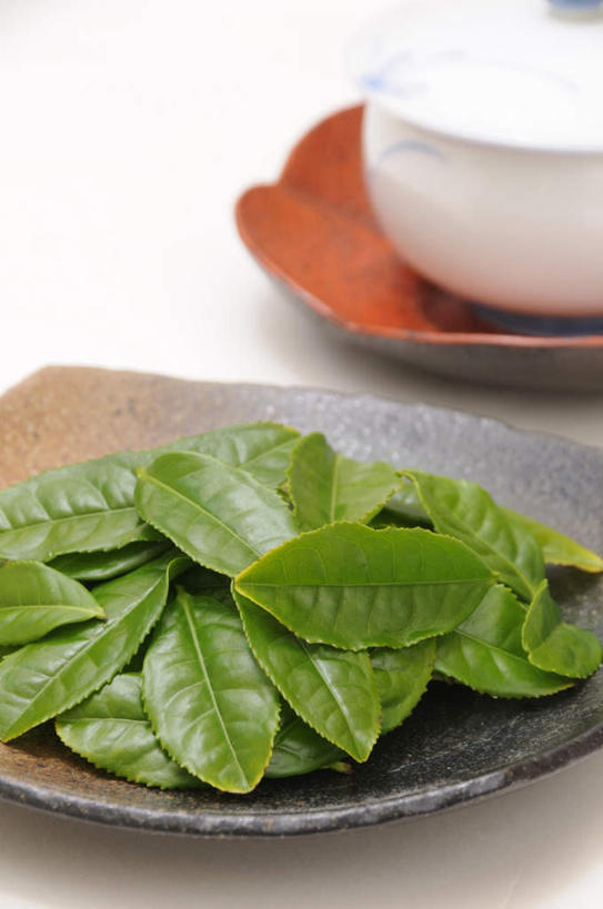 无人,竖图,俯视,室内,特写,白天,幸福,餐桌,茶,桌面,桌子,静物,杯子,餐具,叶子,一堆,许多,堆叠,堆积,朦胧,模糊,碟子,盘,茶叶,绿叶,娱乐,盘子,水杯,碟,享受,休闲,温馨,嫩叶,放松,乐趣,摄影,影棚,餐台,堆,提神,舒适,醒脑,叶,叶片,茶杯,彩图,高角度拍摄,影棚拍摄,拍摄