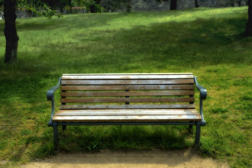 无人,横图,俯视,室外,白天,旅游,草地,草坪,美景,树林,植物,椅子,日本,亚洲,阴影,朦胧,模糊,光线,影子,木椅,景观,草,树,树木,一个,绿色,阳光,自然,景色,大阪,生长,单个,成长,自然风光,东亚,本州,大阪府,本州岛,日本国,近畿地方,近畿,彩图,高角度拍摄,游览