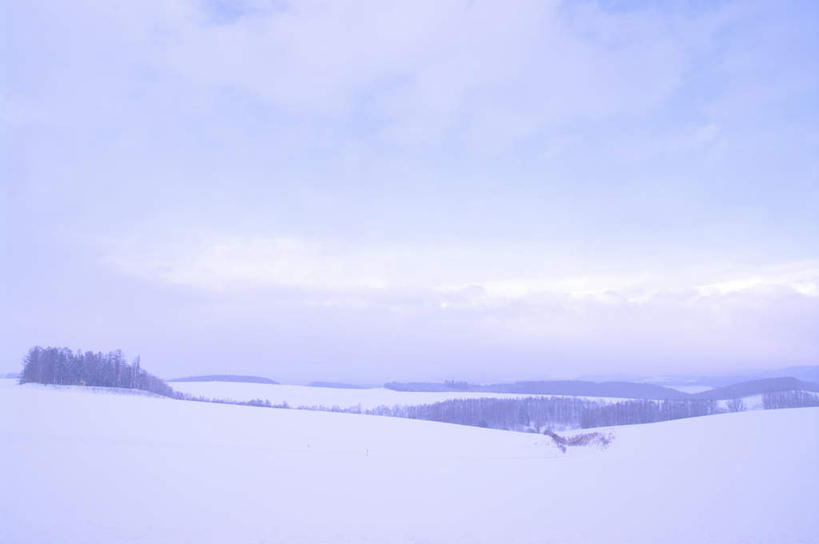 无人,横图,室外,白天,正面,旅游,度假,草地,草坪,美景,雪,植物,大雪,北海道,日本,亚洲,阴影,光线,影子,积雪,景观,雪景,云,云朵,冬季,冬天,云彩,娱乐,草,树,树木,蓝色,绿色,白云,蓝天,天空,阳光,自然,天,享受,休闲,景色,放松,寒冷,生长,成长,自然风光,东亚,日本国,北海道地方,北海道岛,严寒,彩图