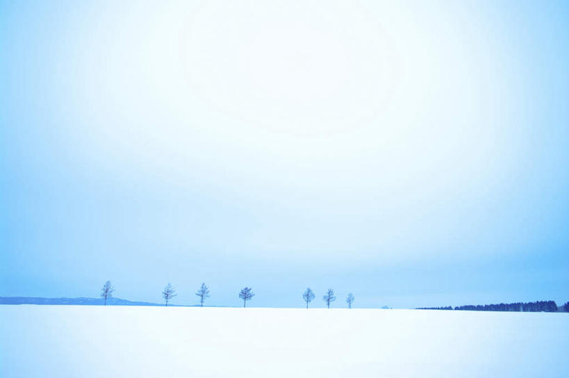 无人,横图,室外,白天,正面,旅游,度假,美景,雪,植物,大雪,北海道,日本,亚洲,一排,阴影,整齐,光线,影子,积雪,景观,雪景,云,云朵,冬季,冬天,云彩,娱乐,树,树木,排列,蓝色,绿色,白云,蓝天,天空,阳光,自然,天,享受,休闲,景色,放松,寒冷,生长,成长,队列,自然风光,东亚,日本国,北海道地方,北海道岛,严寒,彩图