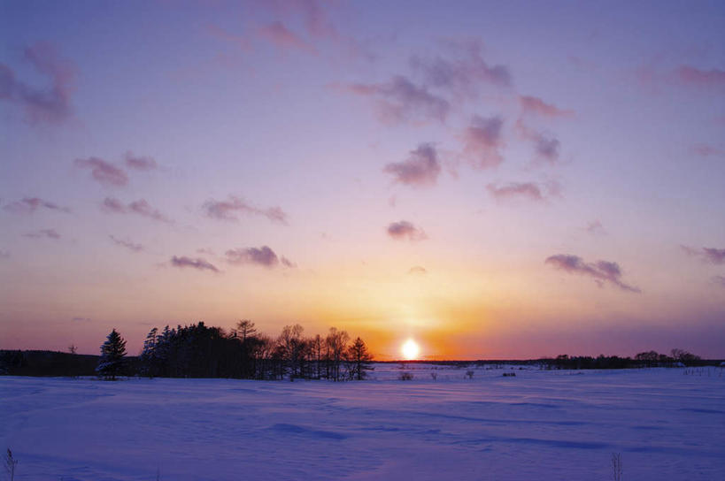 无人,横图,室外,白天,正面,旅游,度假,日出,美景,太阳,雪,植物,大雪,日本,亚洲,积雪,景观,雪景,云,云朵,冬季,冬天,朝霞,晨曦,黎明,云彩,娱乐,树,树木,蓝色,绿色,白云,蓝天,天空,阳光,自然,天,享受,休闲,景色,放松,寒冷,生长,成长,自然风光,东亚,本州,本州岛,日本国,近畿地方,近畿,滋贺,滋贺县,严寒,朝阳,彩图,破晓