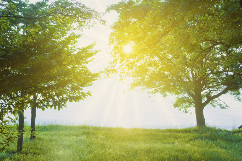无人,横图,室外,白天,正面,旅游,度假,草地,草坪,美景,植物,日本,亚洲,阴影,光线,影子,景观,云,云朵,云彩,娱乐,草,树,树木,蓝色,绿色,白云,蓝天,天空,阳光,自然,天,享受,休闲,景色,放松,生长,成长,自然风光,东亚,本州,本州岛,日本国,近畿地方,近畿,滋贺,滋贺县,彩图