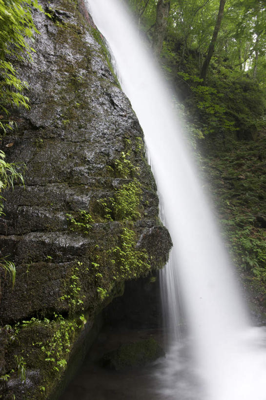 无人,竖图,室外,白天,正面,旅游,度假,草地,草坪,美景,瀑布,森林,树林,水,植物,日本,亚洲,阴影,波纹,飞溅,溅,光线,液体,影子,景观,水滴,娱乐,水珠,草,树,树木,绿色,水纹,阳光,自然,波浪,享受,休闲,景色,放松,生长,成长,喷洒,自然风光,东亚,本州,本州岛,日本国,青森,青森县,东北地方,跌水,彩图