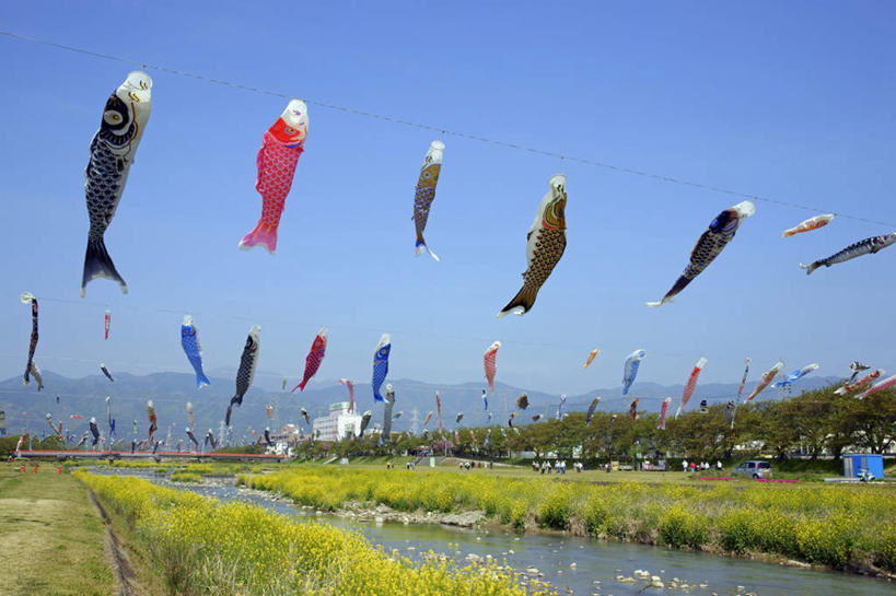 无人,横图,室外,白天,仰视,旅游,度假,花海,花圃,河流,美景,山,山脉,水,植物,鲤鱼,旗帜,叶子,日本,亚洲,许多,节日,庆祝,盛开,鱼,河水,景观,山峰,水流,绿叶,山峦,花蕾,文化,娱乐,旗子,鱼类,花,花瓣,花朵,花卉,鲜花,树,树木,蓝色,绿色,蓝天,天空,自然,花丛,花田,群山,天,花苞,花蕊,油菜花,庆典,享受,休闲,嫩叶,景色,放松,生长,晴朗,成长,纪念,文明,自然风光,东亚,本州,万里无云,本州岛,日本国,中部地方,岐阜,岐阜县,旌旗,叶,叶片,晴空,晴空万里,鲤子,鲤拐子,彩图,低角度拍摄,芸苔,芸薹