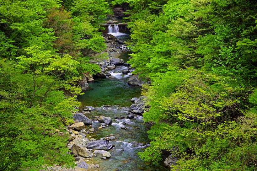 一个人,站,横图,俯视,室外,白天,旅游,度假,河流,石头,美景,山,山脉,水,植物,钓鱼竿,日本,亚洲,仅一个男性,仅一个人,仅一个中年男性,石子,河水,景观,山峰,水流,山峦,娱乐,树,树木,绿色,小溪,自然,群山,溪水,站着,享受,休闲,景色,放松,生长,成长,渔具,自然风光,东亚,本州,本州岛,日本国,中部地方,岐阜,岐阜县,男人,男性,中年男性,钓竿,鱼竿,石块,岩石,站立,彩图,高角度拍摄,全身,钓鱼