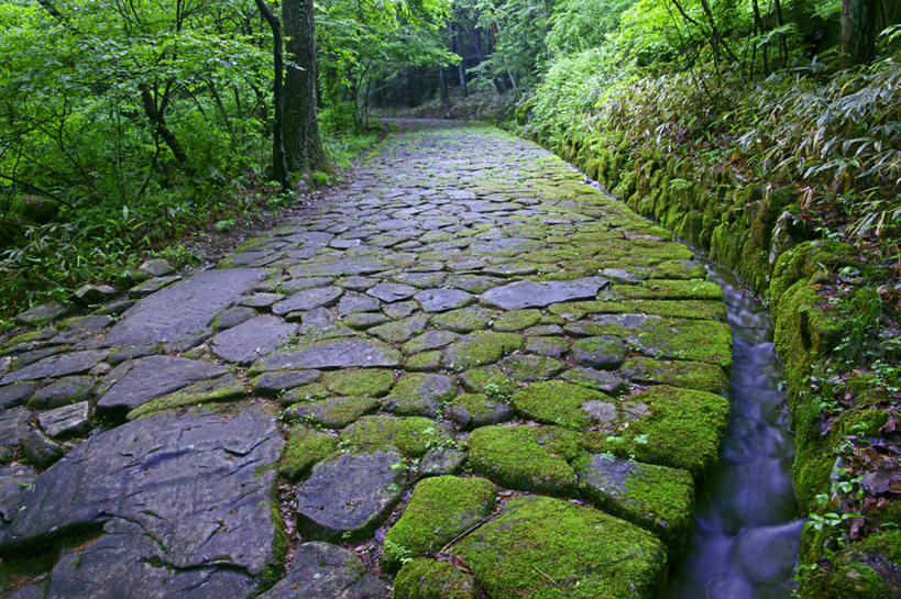 无人,横图,室外,白天,正面,旅游,度假,石头,美景,植物,道路,路,日本,亚洲,石子,景观,小路,青苔,苔藓,交通,娱乐,树,树木,绿色,自然,享受,休闲,景色,放松,乡间小路,生长,成长,自然风光,东亚,本州,本州岛,日本国,中部地方,岐阜,岐阜县,石块,彩图