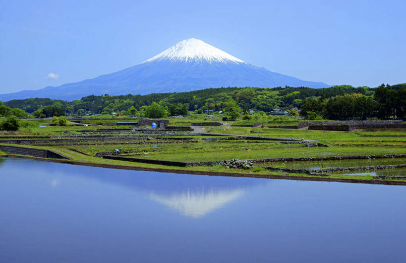 无人,家,农田,横图,室外,白天,仰视,旅游,度假,农业,庄稼,农作物,美景,山,山脉,雪,植物,大雪,卡车,汽车,日本,亚洲,一辆,阴影,光线,影子,房屋,屋子,稻田,积雪,景观,山峰,雪景,冬季,冬天,山峦,娱乐,楼房,住宅,车,树,树木,蓝色,绿色,蓝天,天空,阳光,自然,交通工具,群山,天,享受,休闲,景色,放松,寒冷,生长,晴朗,成长,自然风光,载具,东亚,本州,万里无云,本州岛,日本国,中部地方,岐阜,岐阜县,严寒,晴空,晴空万里,彩图,低角度拍摄,耕地,庄稼田,房子