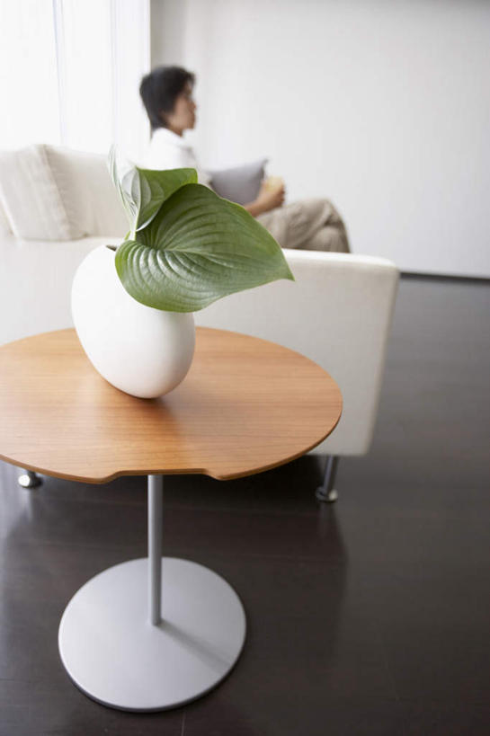 东方人,一个人,家,客厅,坐,笑,微笑,竖图,室内,白天,侧面,植物,别墅,家具,沙发,装修,桌面,桌子,建筑,花瓶,欧式,亚洲,仅一个男性,仅一个人,服装,装饰,木制,盆栽,房屋,屋子,公寓,盆景,豪华,注视,休闲装,黄种人,建设,现代,装潢,洋房,楼房,住宅,玻璃制品,仅一个年轻男性,衣服,绿色,黑色,自然,玻璃瓶,木制品,瓶子,室内装潢,观察,看,休闲,休闲服,服饰,生长,成长,观看,明亮,察看,起居室,舒适,家居装潢,关注,房屋设计,地中海风格,古典风格,简约风格,室内设计,宽敞,样板房装潢,男人,男性,年轻男性,亚洲人,设计,坐着,彩图,全身,房子,短发,皮沙发