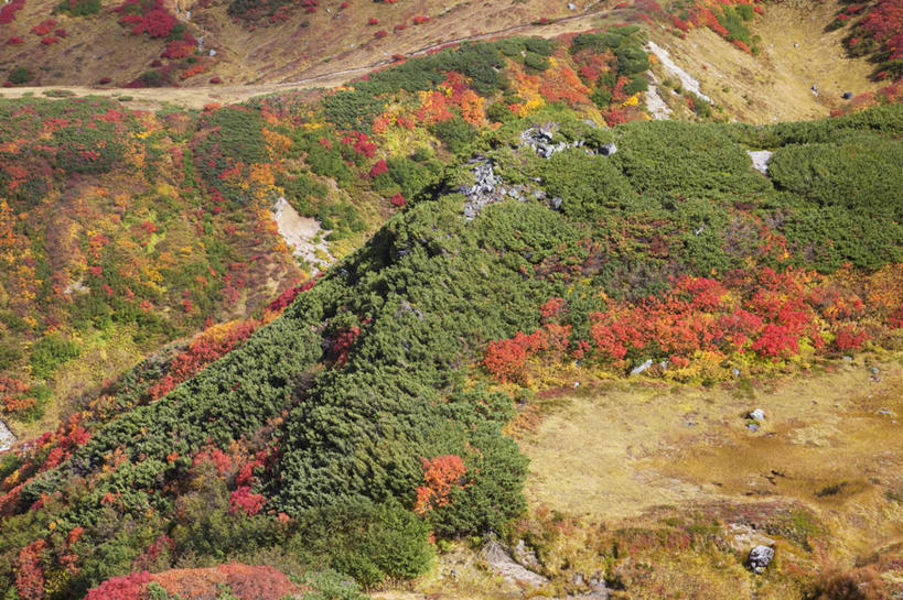 无人,横图,俯视,航拍,室外,白天,旅游,度假,火山,美景,山,树林,植物,道路,路,富山县,日本,亚洲,许多,景观,山峰,小路,交通,山峦,娱乐,树,树木,绿色,自然,享受,休闲,景色,放松,生长,成长,鸟瞰,自然风光,东亚,本州,本州岛,日本国,中部地方,富山,活火山,死火山,休眠火山,彩图,高角度拍摄,地狱谷