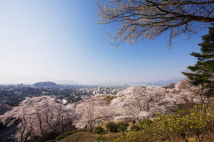 无人,高楼大厦,横图,俯视,室外,白天,度假,美景,山,山脉,树林,植物,城市风光,城市,大厦,建筑,摩天大楼,樱花,日本,亚洲,许多,景观,山峰,樱花树,山峦,娱乐,建设,树,树木,蓝色,绿色,蓝天,天空,自然,群山,天,享受,休闲,景色,放松,生长,晴朗,成长,自然风光,东亚,本州,万里无云,本州岛,日本国,中部地方,福井,福井县,仙樱花,福岛樱,青肤樱,晴空,晴空万里,荆桃,彩图,高角度拍摄,大楼,高层建筑,高楼,摩天楼