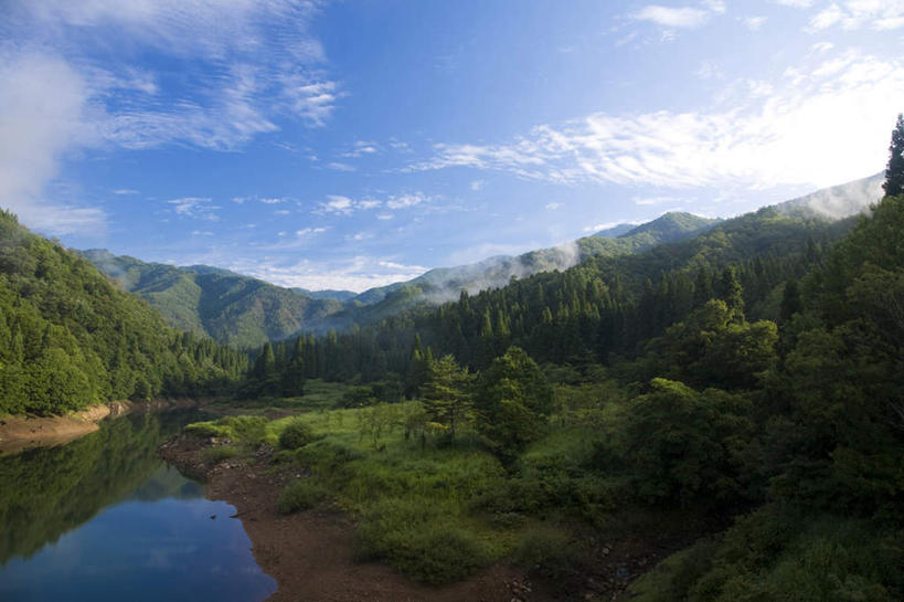 无人,横图,室外,白天,正面,旅游,度假,草地,美景,树林,植物,雾,日本,亚洲,许多,阴影,朦胧,模糊,光线,影子,景观,云,云朵,云彩,娱乐,草,树,树木,蓝色,绿色,白云,蓝天,天空,阳光,自然,天,享受,休闲,景色,放松,生长,晴朗,成长,迷雾,自然风光,东亚,本州,本州岛,日本国,中部地方,福井,福井县,大雾,晴空,彩图