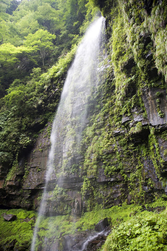 无人,竖图,室外,白天,仰视,旅游,度假,石头,美景,瀑布,山,树林,水,植物,日本,亚洲,许多,飞溅,溅,石子,液体,景观,山峰,水滴,悬崖,山峦,娱乐,水珠,树,树木,绿色,自然,享受,休闲,景色,放松,生长,成长,喷洒,自然风光,东亚,本州,本州岛,日本国,中部地方,岐阜,岐阜县,绝壁,跌水,石块,岩石,彩图,低角度拍摄