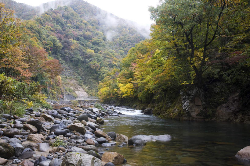 无人,横图,室外,白天,正面,旅游,度假,河流,石头,美景,山,山脉,树林,水,植物,雾,日本,亚洲,许多,朦胧,模糊,石子,河水,景观,山峰,水流,山峦,娱乐,树,树木,蓝色,绿色,蓝天,天空,小溪,自然,群山,天,溪水,享受,休闲,鹅卵石,景色,放松,生长,晴朗,成长,迷雾,自然风光,按摩石,东亚,本州,万里无云,本州岛,日本国,中部地方,福井,福井县,石块,大雾,晴空,晴空万里,彩图