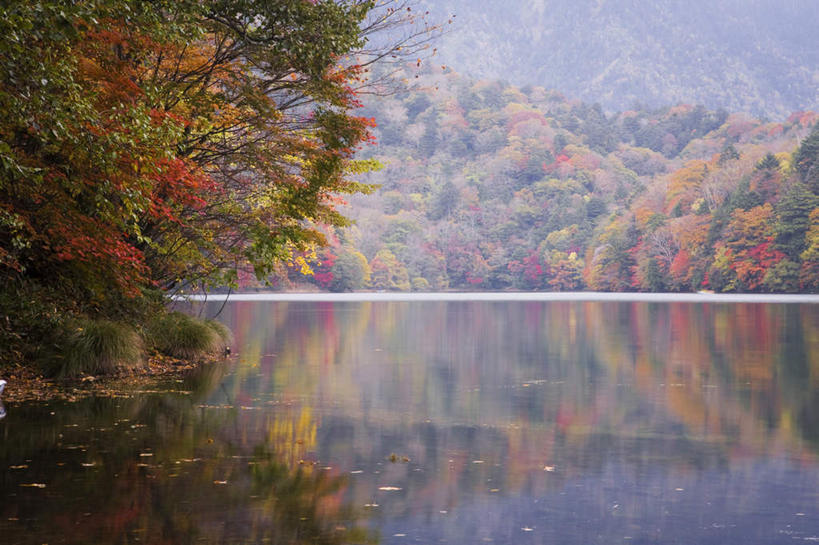 无人,横图,室外,白天,正面,旅游,度假,河流,美景,秋季,山,山脉,树林,水,植物,日本,亚洲,许多,阴影,朦胧,模糊,光线,影子,河水,景观,山峰,水流,山峦,娱乐,树,树木,绿色,阳光,自然,群山,享受,休闲,景色,放松,生长,成长,自然风光,东亚,本州,关东地方,本州岛,日本国,群马,群马县,秋,秋天,彩图