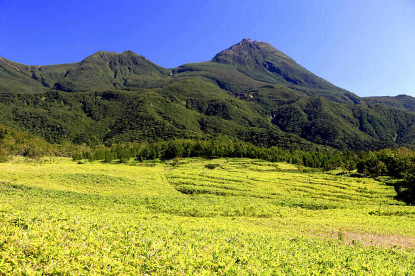 无人,横图,室外,白天,正面,旅游,度假,草地,草坪,山,山脉,植物,北海道,日本,亚洲,景观,山川,山峰,山峦,娱乐,草,树,树木,蓝色,绿色,蓝天,天空,自然,群山,天,享受,休闲,景色,放松,生长,晴朗,成长,自然风光,东亚,万里无云,日本国,北海道地方,北海道岛,根室支厅,罗臼町,目梨郡,晴空,晴空万里,彩图,道东