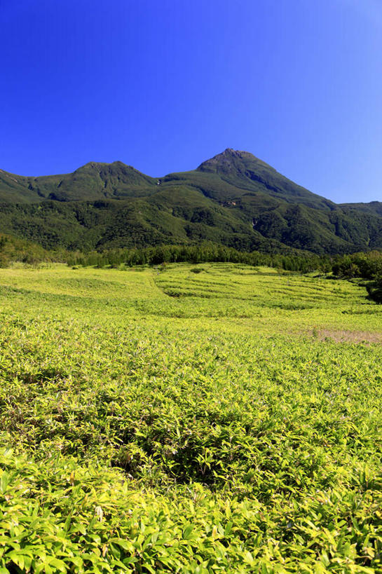 无人,竖图,室外,白天,正面,旅游,度假,草地,草坪,山,山脉,植物,北海道,日本,亚洲,景观,山川,山峰,山峦,娱乐,草,树,树木,蓝色,绿色,蓝天,天空,自然,群山,天,享受,休闲,景色,放松,生长,晴朗,成长,自然风光,东亚,万里无云,日本国,北海道地方,北海道岛,根室支厅,罗臼町,目梨郡,晴空,晴空万里,彩图,道东