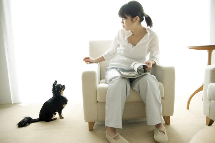 东方人,一个人,客厅,坐,笑,微笑,露齿笑,横图,室内,白天,正面,地板,沙发,宠物,狗,亚洲,仅一个年轻女性,仅一个女性,仅一个人,握,服装,吉娃娃,地面,拿,拿着,注视,休闲装,黄种人,木地板,一个,一只,衣服,动物,边桌,观察,看,休闲,休闲服,可爱,握着,服饰,单个,观看,察看,起居室,关注,布艺沙发,忠诚,芝娃娃,奇娃娃,吉娃娃犬,齐花花,年轻女性,女人,女性,亚洲人,犬,坐着,彩图,全身