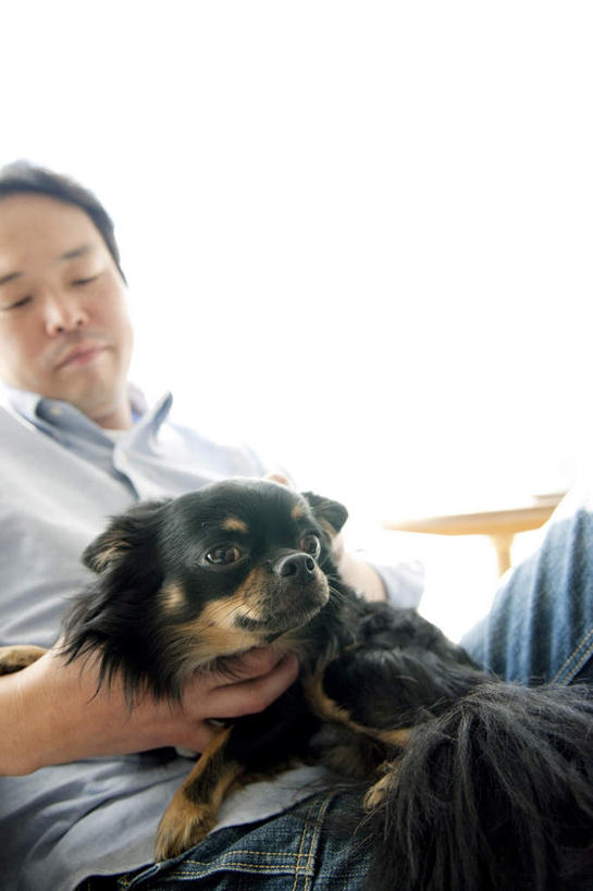 东方人,一个人,客厅,摸,竖图,室内,白天,正面,宠物,狗,亚洲,仅一个男性,仅一个人,仅一个中年男性,抚摸,朦胧,模糊,吉娃娃,注视,黄种人,一只,动物,边桌,观察,看,可爱,观看,察看,起居室,关注,忠诚,芝娃娃,奇娃娃,吉娃娃犬,齐花花,男人,男性,中年男性,亚洲人,犬,触摸,接触,半身,彩图