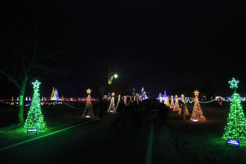 无人,横图,彩色,室外,夜晚,正面,度假,城市风光,城市,道路,路,霓虹灯,公路,日本,圣诞节,亚洲,一排,许多,阴影,节日,朦胧,模糊,庆祝,整齐,光线,影子,景观,灯光,圣诞树,七彩,交通,光芒,文化,娱乐,光源,霓虹,灯,排列,倒影,庆典,享受,休闲,闪耀,景色,放松,纪念,闪烁,照明设备,队列,装饰灯,东亚,本州,关东地方,本州岛,日本国,群马,群马县,氖灯,榛名山,马路,彩图