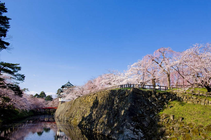 无人,栏杆,横图,室外,白天,正面,旅游,度假,河流,美景,水,植物,樱花,日本,亚洲,阴影,盛开,光线,影子,河水,景观,水流,围栏,花蕾,娱乐,护栏,花,花瓣,花朵,鲜花,树,树木,粉色,绿色,阳光,自然,花苞,花蕊,享受,休闲,景色,放松,生长,成长,自然风光,东亚,本州,本州岛,日本国,青森,青森县,东北地方,仙樱花,福岛樱,青肤樱,弘前,弘前市,弘前城,鹰冈城,荆桃,彩图