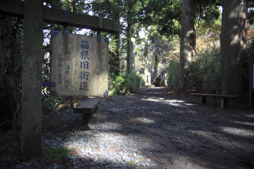 无人,横图,室外,白天,正面,旅游,度假,美景,树林,植物,道路,路,指示牌,公路,神奈川,箱根,日本,亚洲,阴影,光线,标志,文字,影子,字符,景观,交通,神奈川县,娱乐,标识,树,树木,绿色,阳光,自然,享受,休闲,汉字,景色,放松,生长,成长,中文,自然风光,东亚,本州,关东地方,本州岛,日本国,国文,华文,马路,彩图